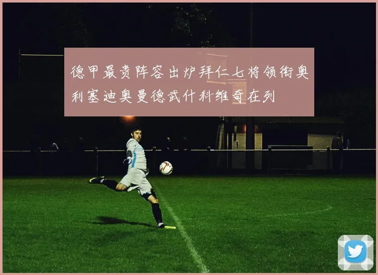 德甲最贵阵容出炉拜仁七将领衔奥利塞迪奥曼德武什科维奇在列